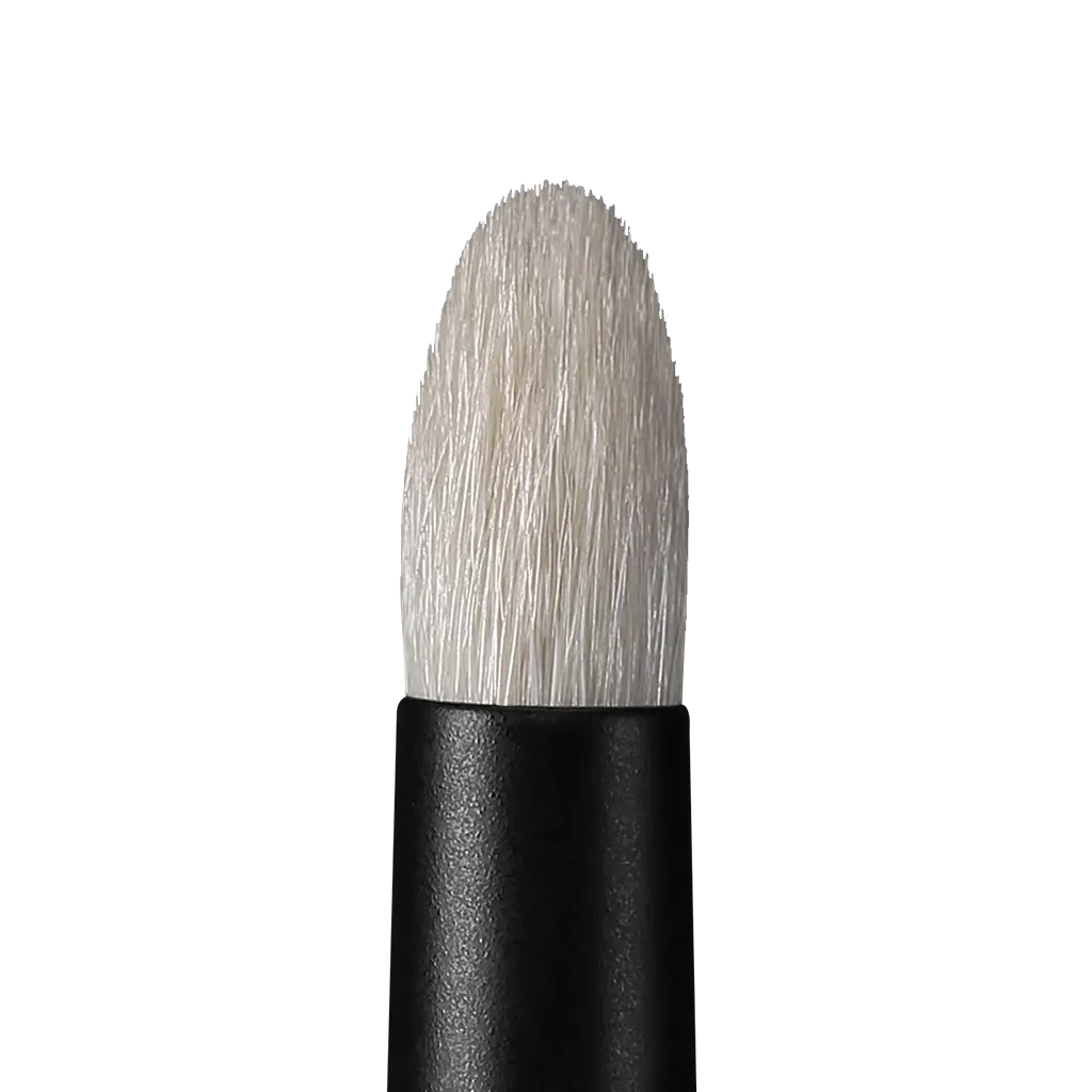 rephr brush 03