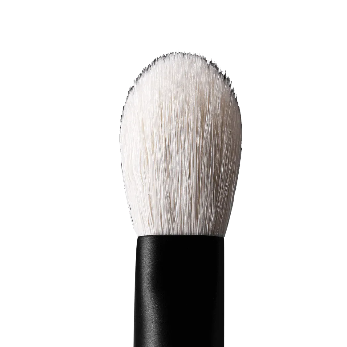 rephr brush 01
