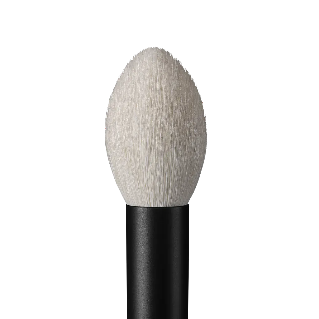 rephr brush 18