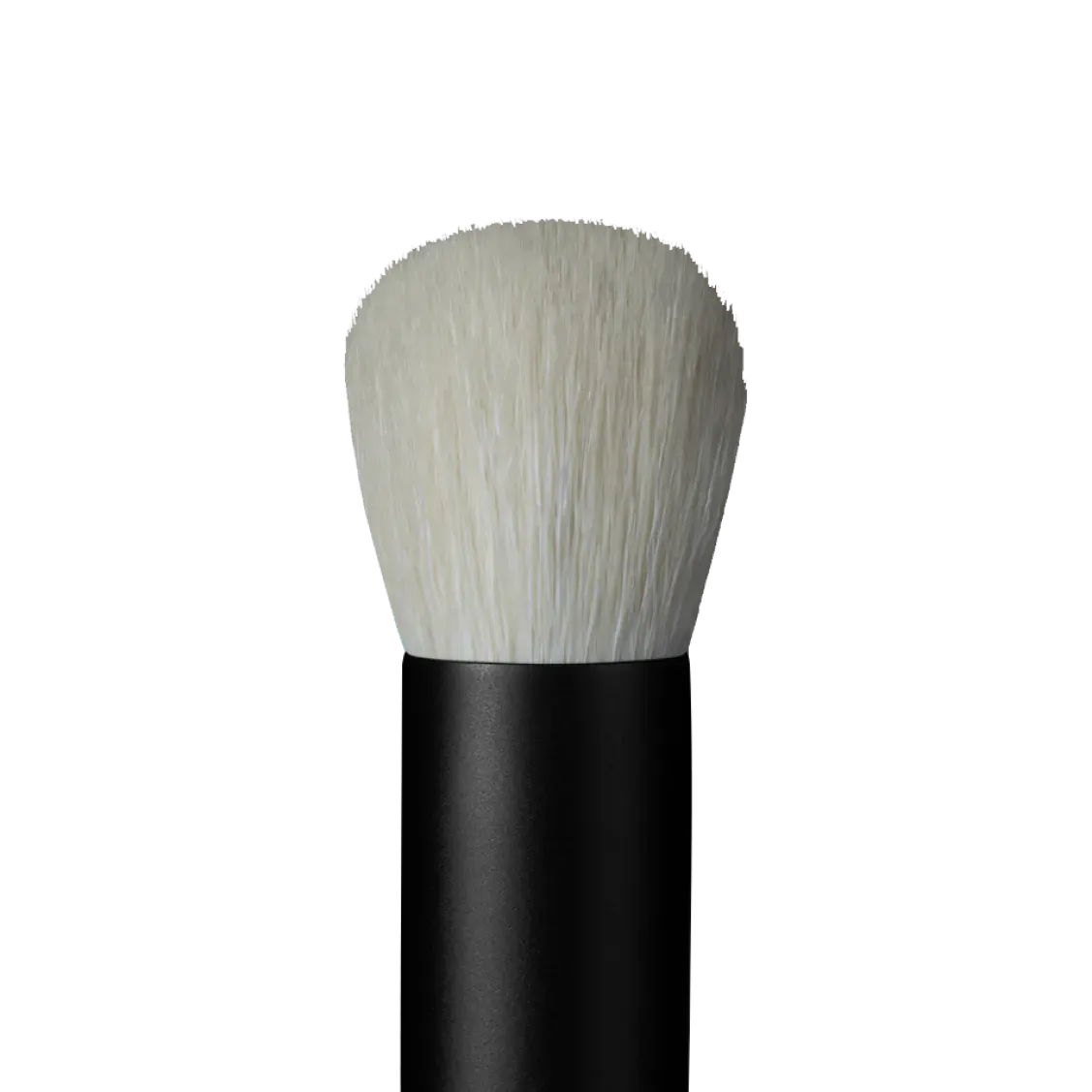 rephr brush 35