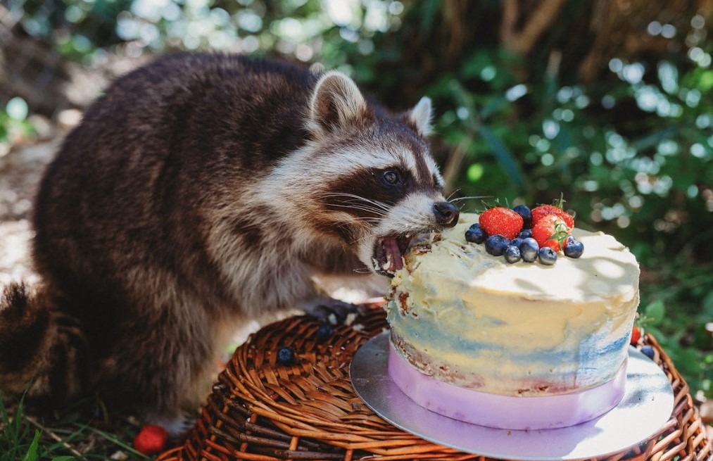 Birthday