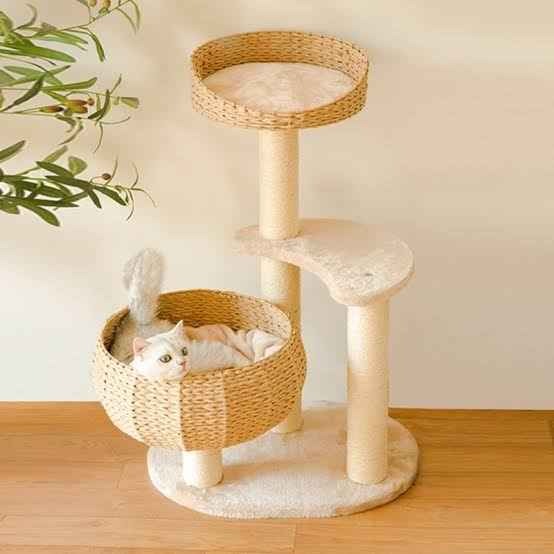Kitties Wish