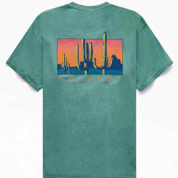 Arizona T-Shirt | PacSun