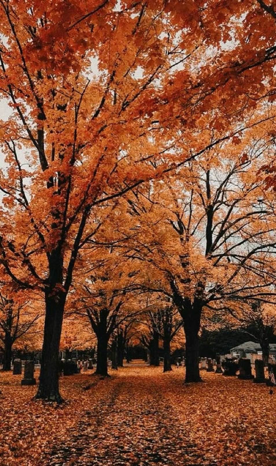 Fall Decor