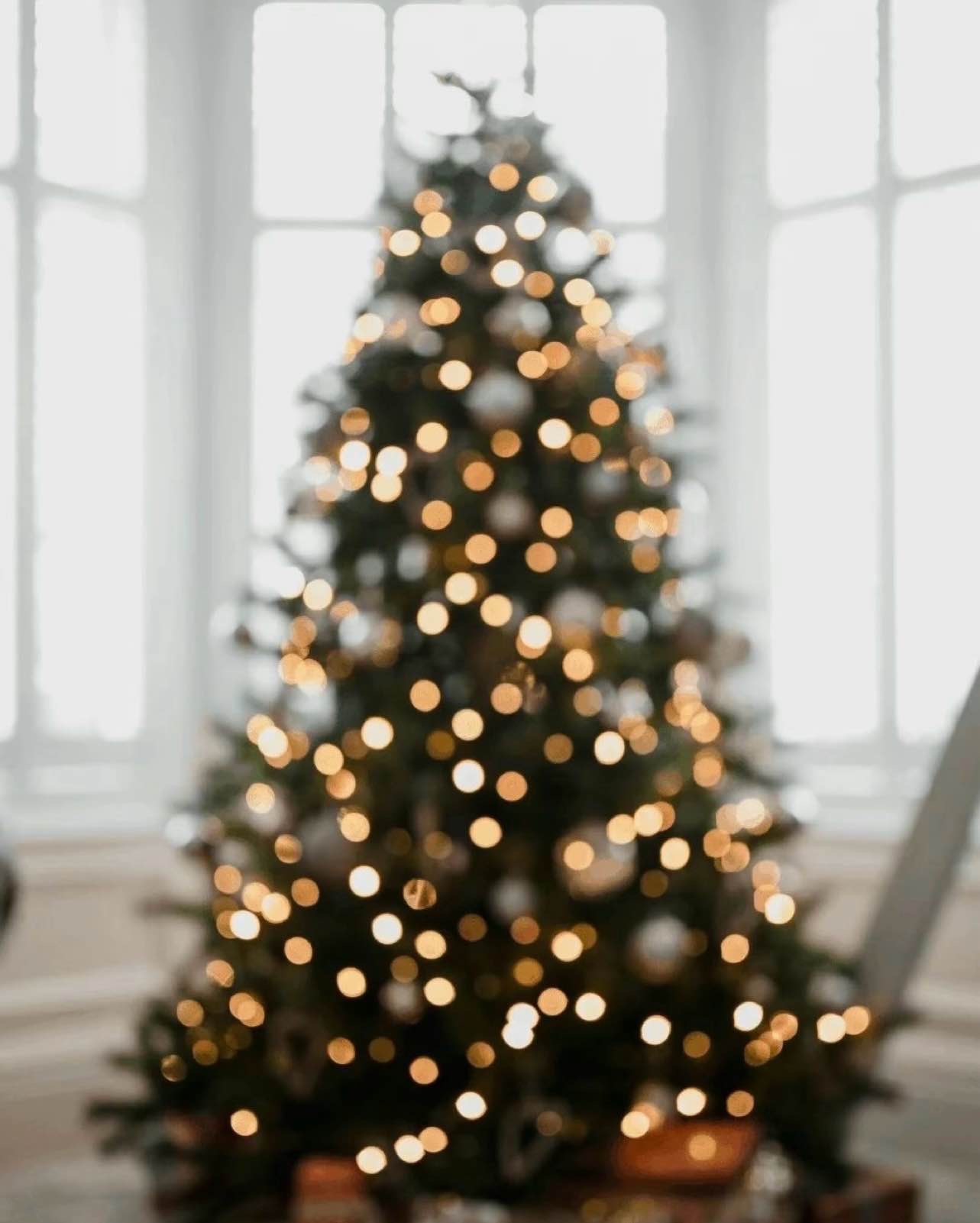 Holiday Decor