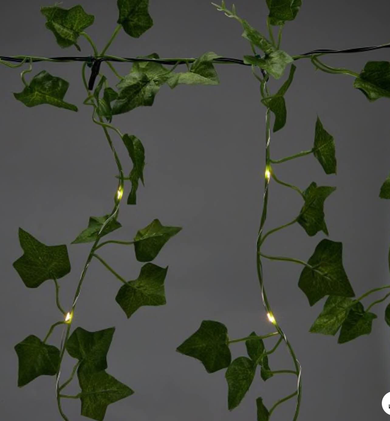 Ivy Garland Curtain Light
