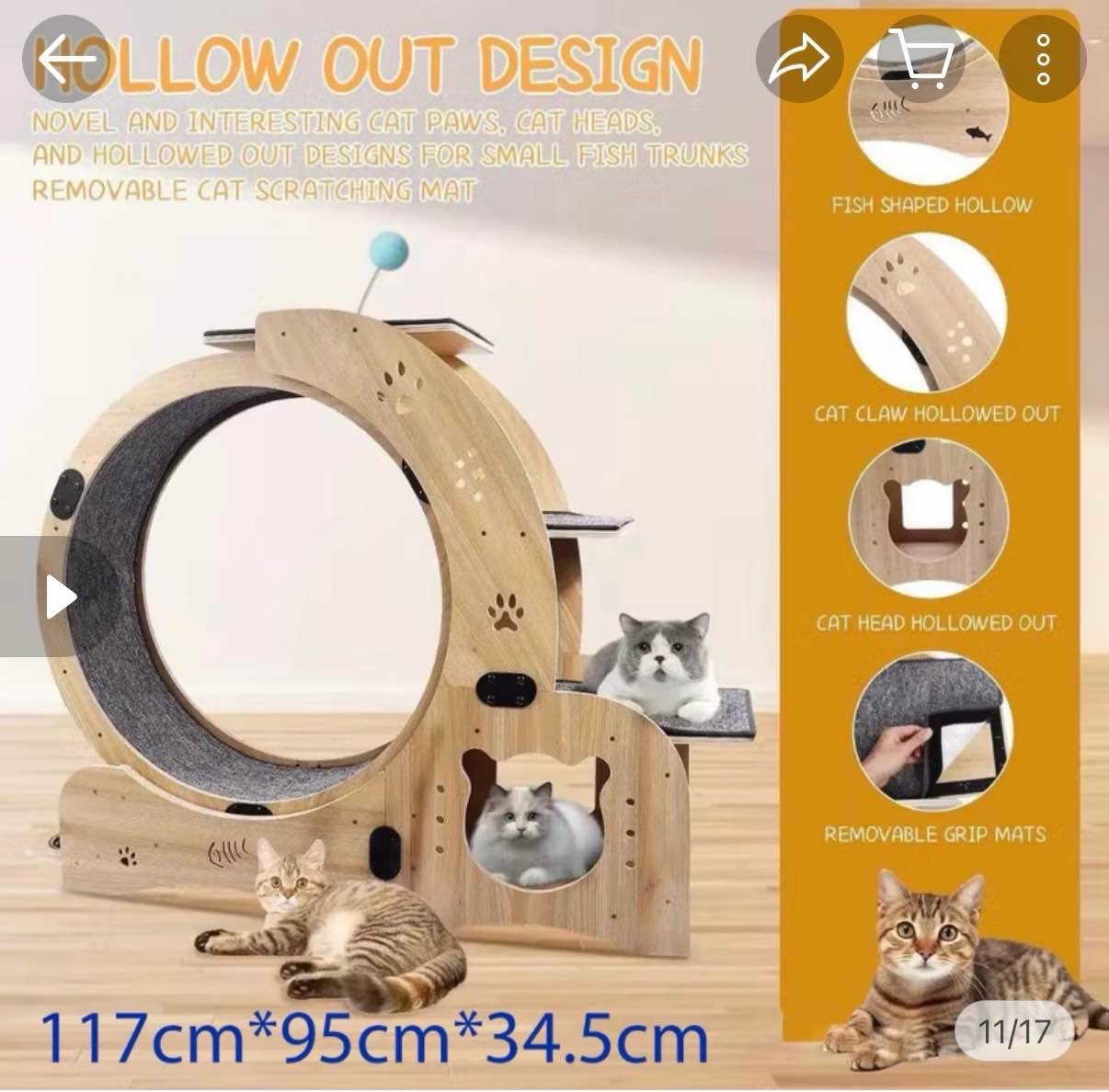 cat wheel