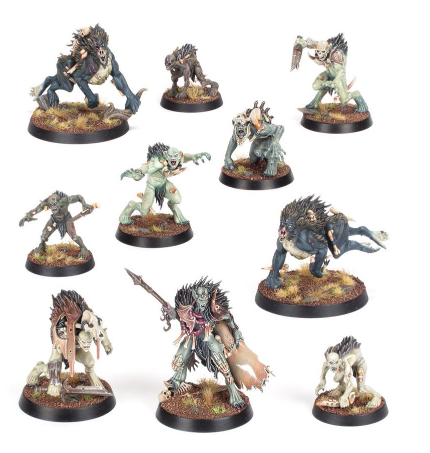Warcry: Royal Beastflayers