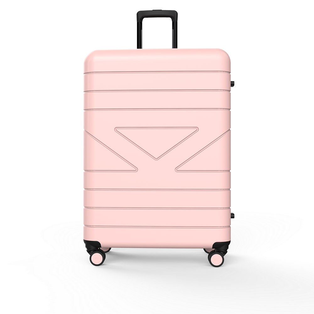 Luggage - IKII - Large