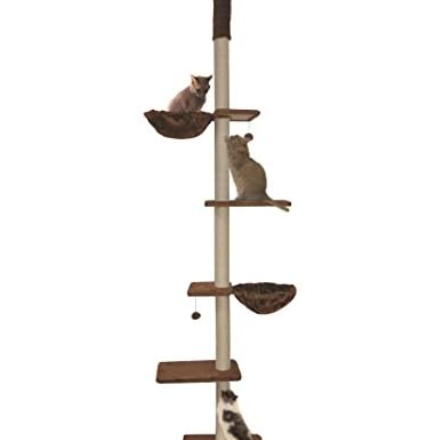 Floor to Ceiling cat scratching post (coffee color)