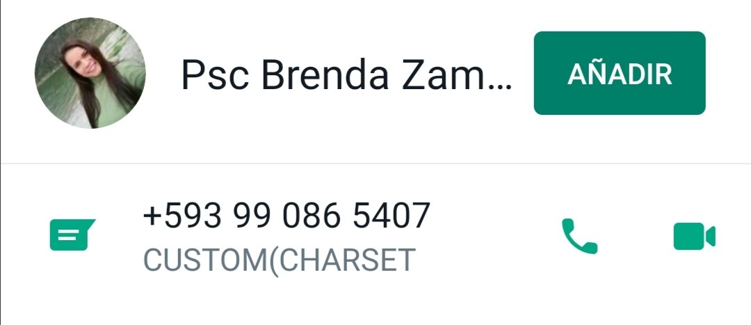 Cita virtual con mi psicóloga