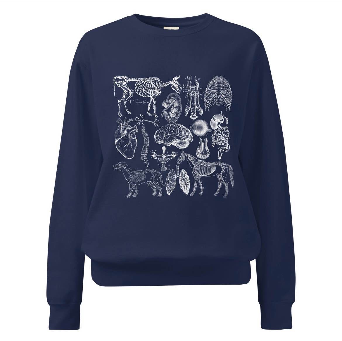 Veterinary Animal Anatomy Comfort Colors Brand Sweatshirt