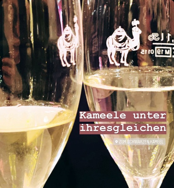 ein Schampus im Kameel pro Nase
