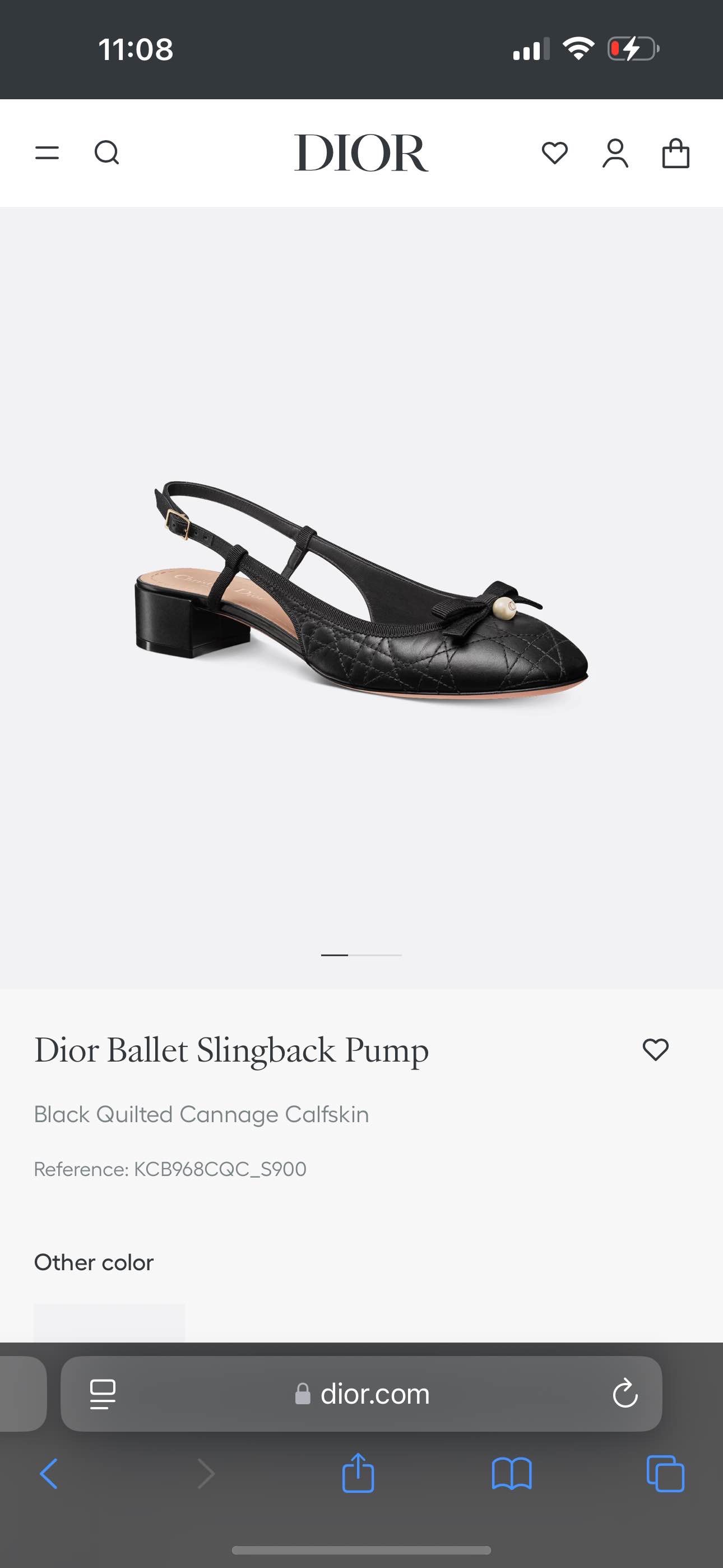 Dior Ballet Slingback Pump