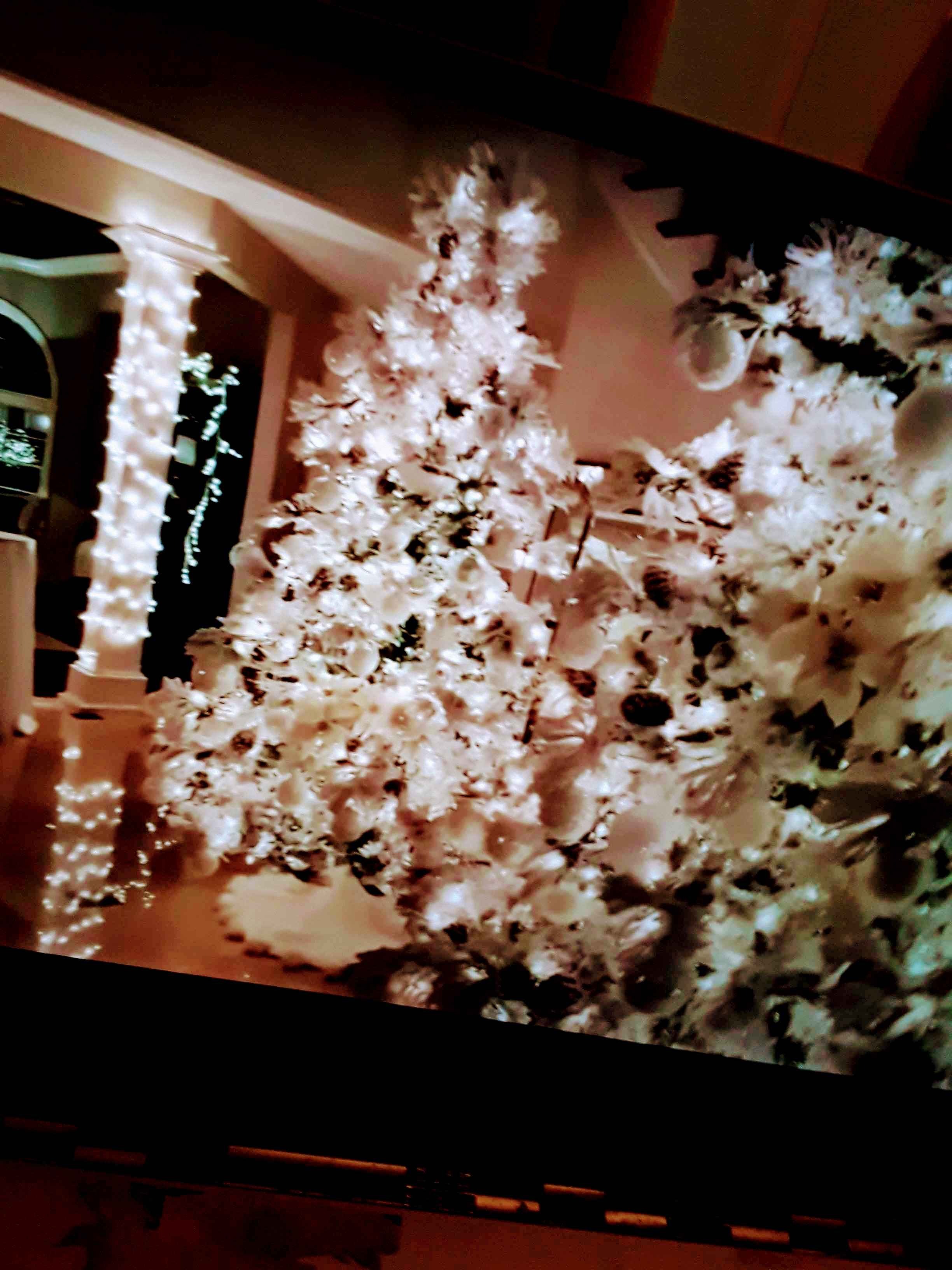 Christmas 2023