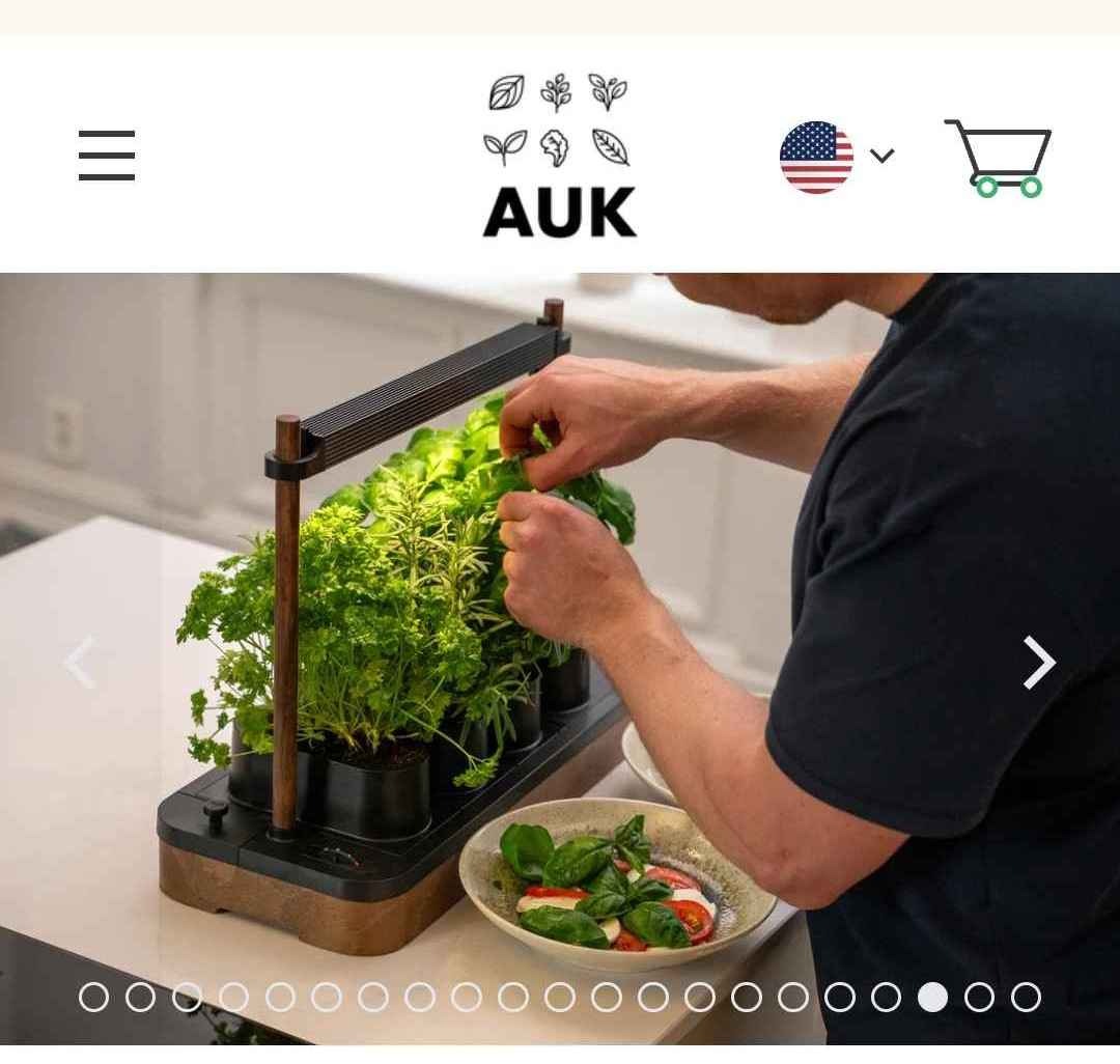 Auk Mini Bundle