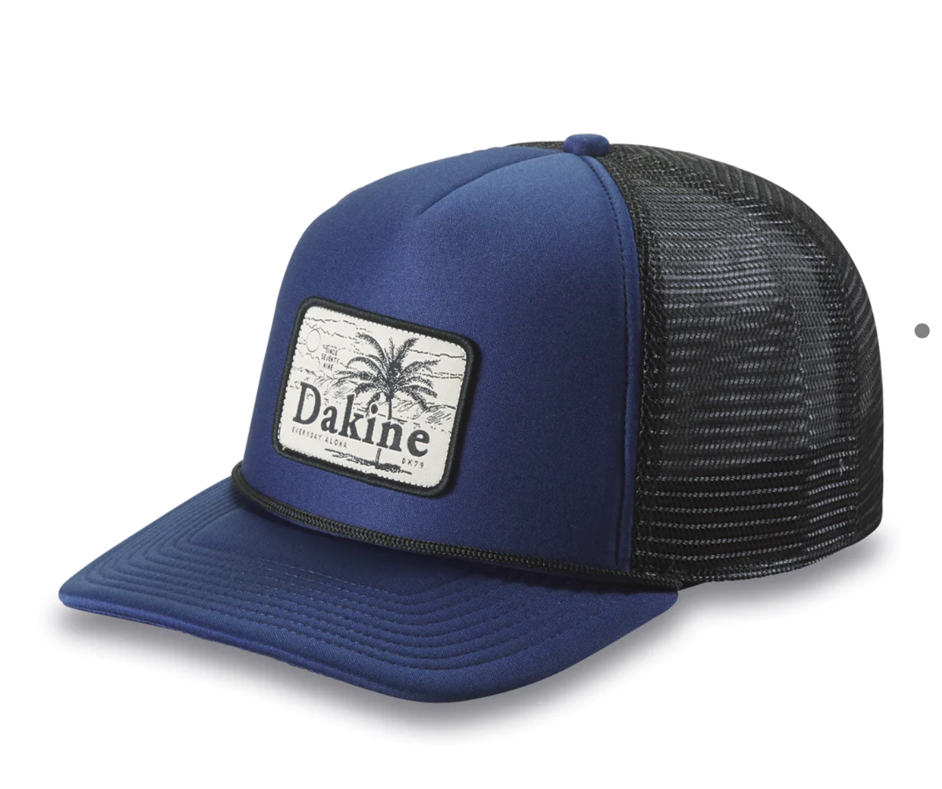Classic Foamy Trucker Hat – Dakine