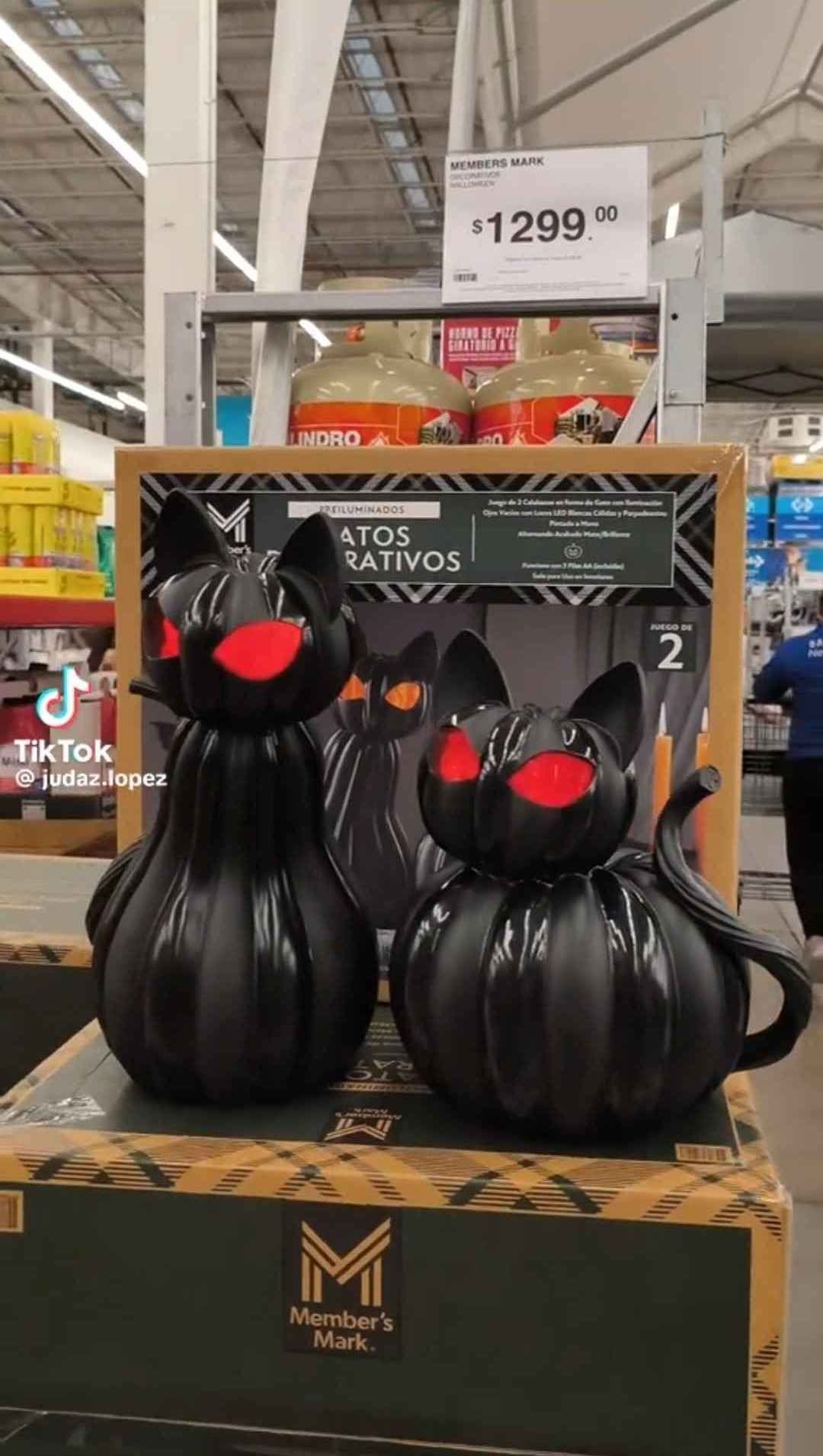 Member's Mark Pre-Lit Pumpkin Cats, Set of 2