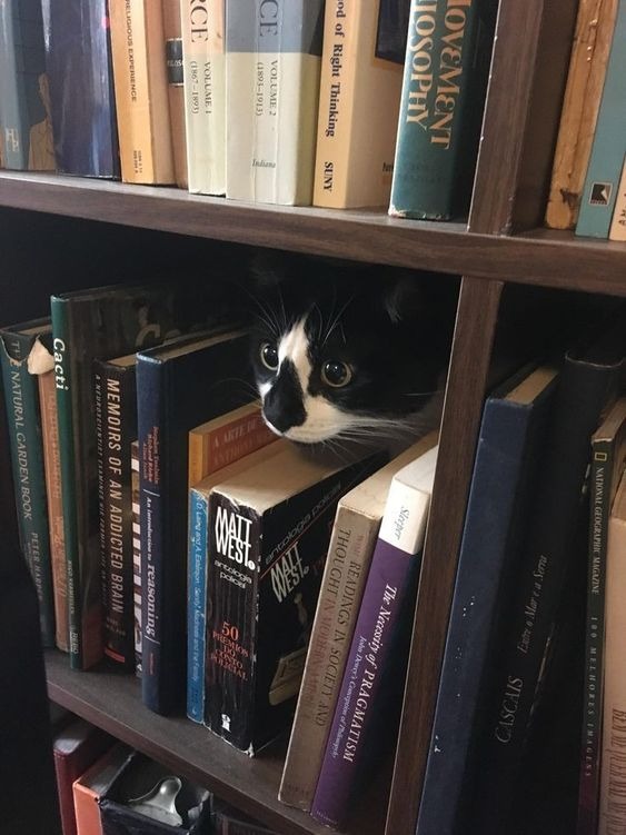 Книжки