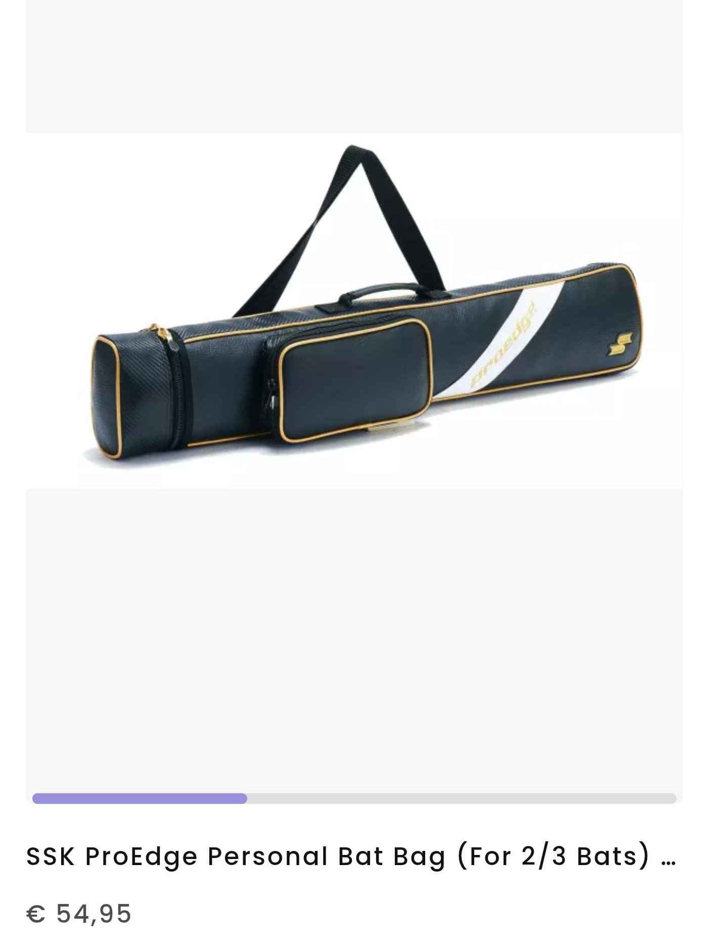 bat bag (2/3 bats)
