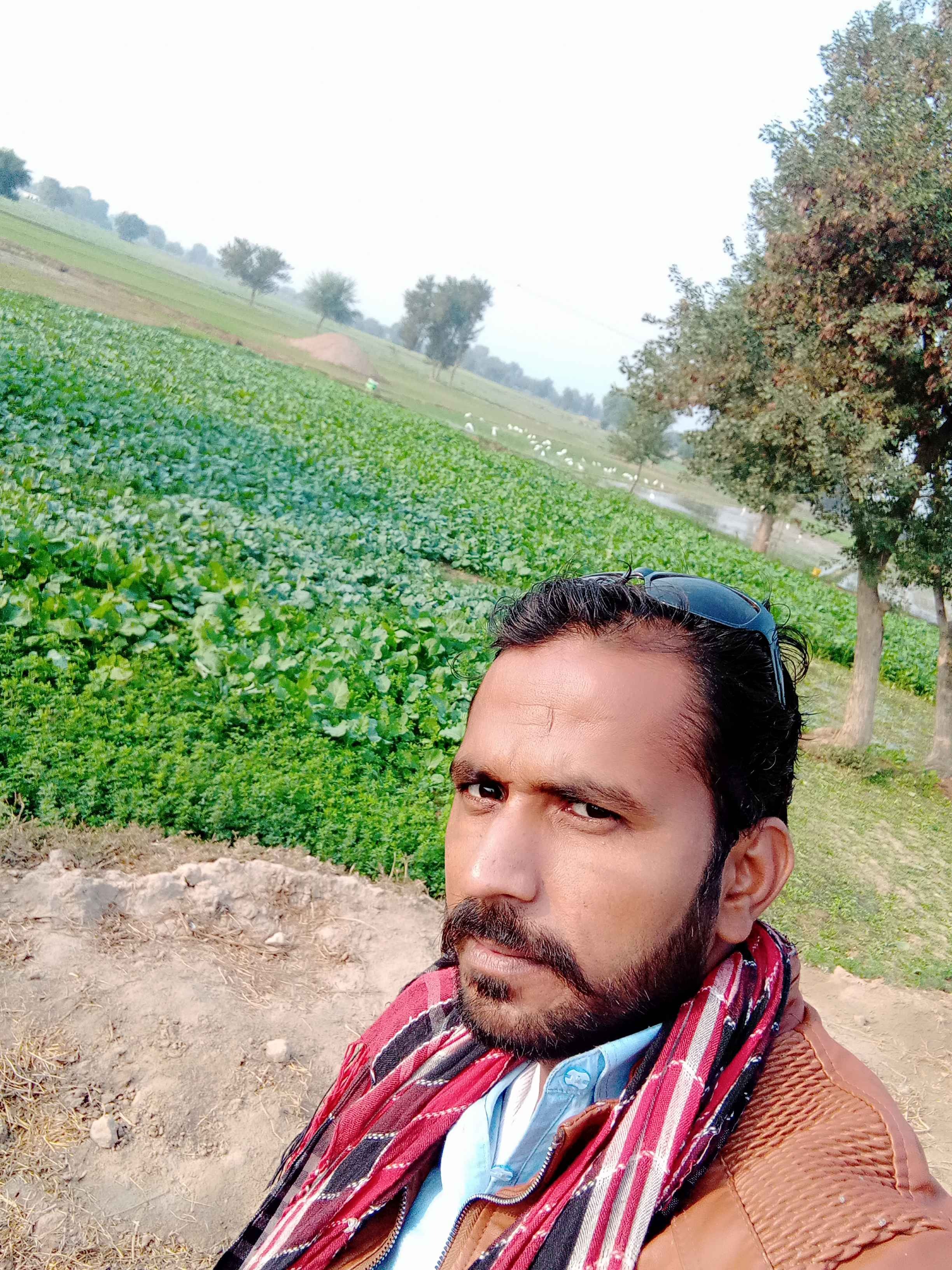 Wish from Photo