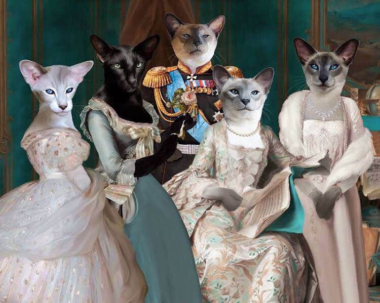 petacat