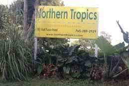 Northern Tropics greenhouse gift card