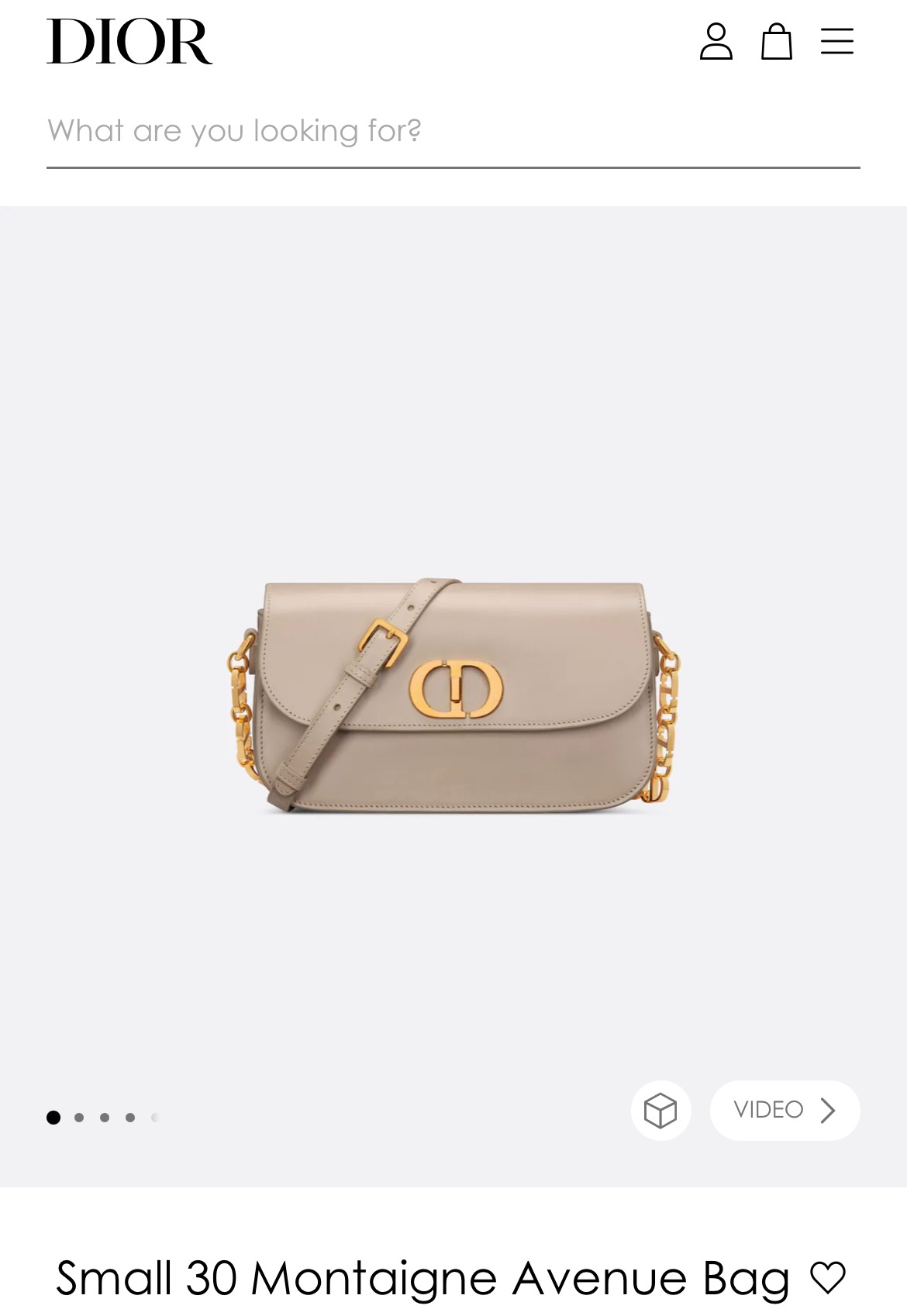 Dior bag