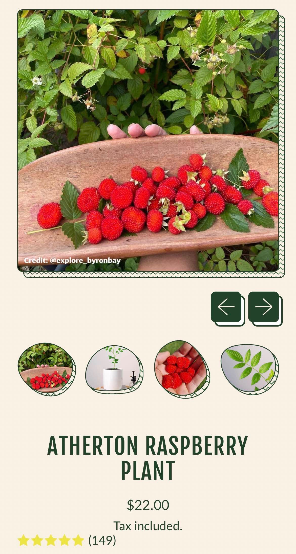 Atherton Raspberry