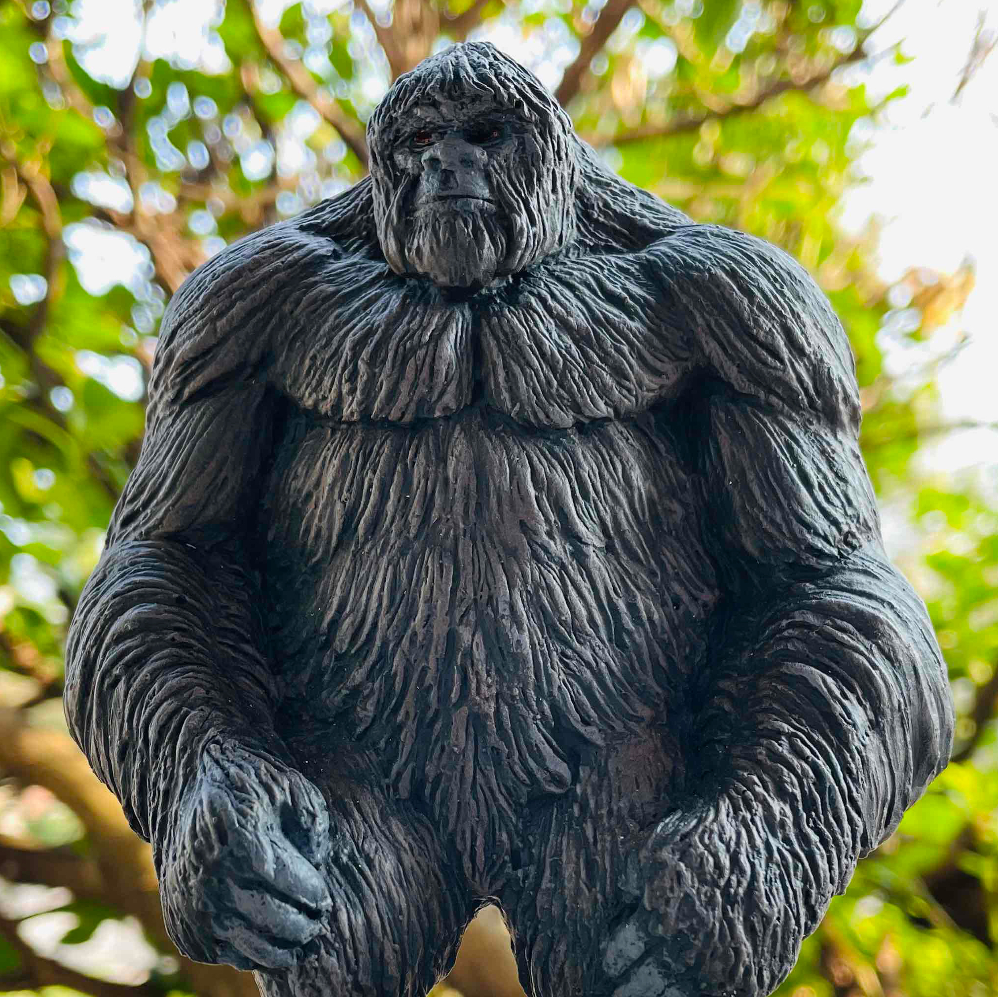 scotticus