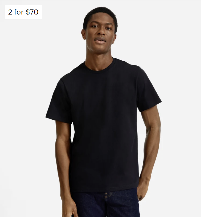 Everlane Premium-Weight Crew | Uniform (Any Color)