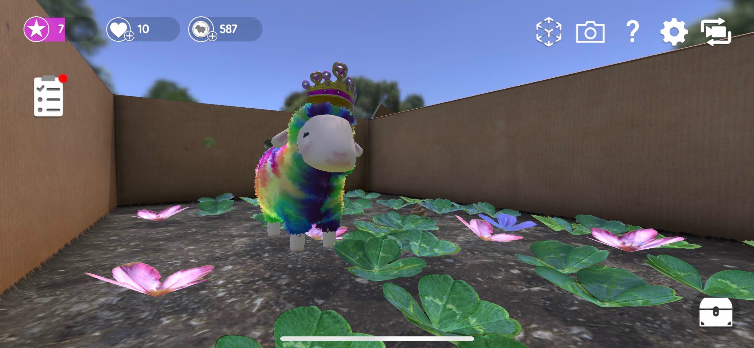 Disability Shizz
