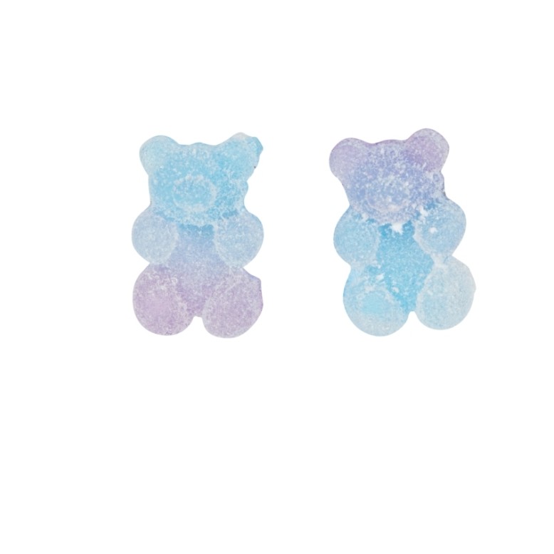 Bear Design Earrings