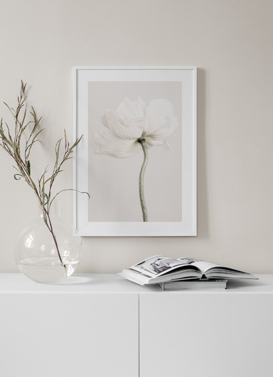 Pale Poppy Poster