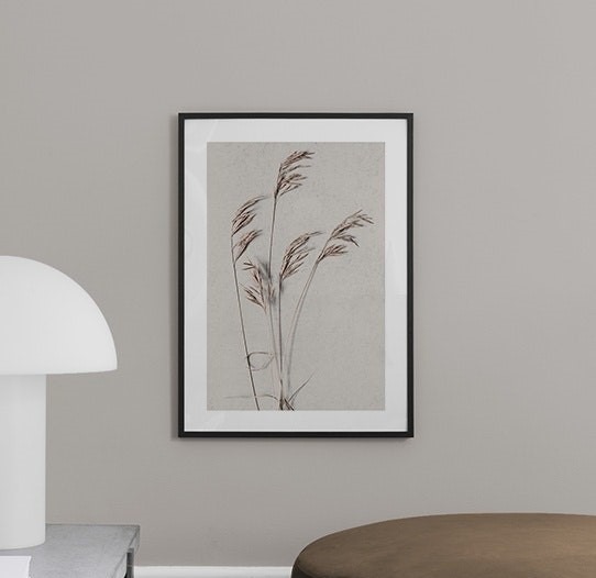 Desert Grass Poster