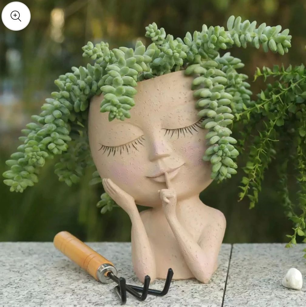 Vaso Flora
