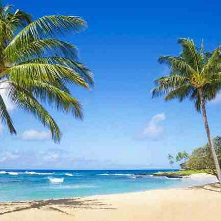 Viaje a la playa
