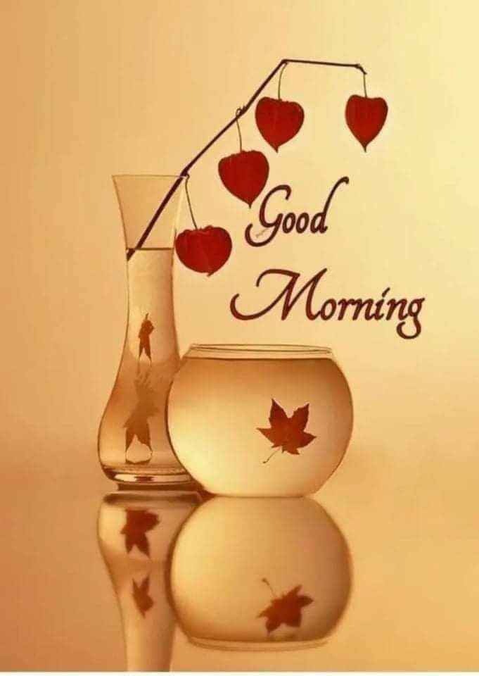 Good Morning