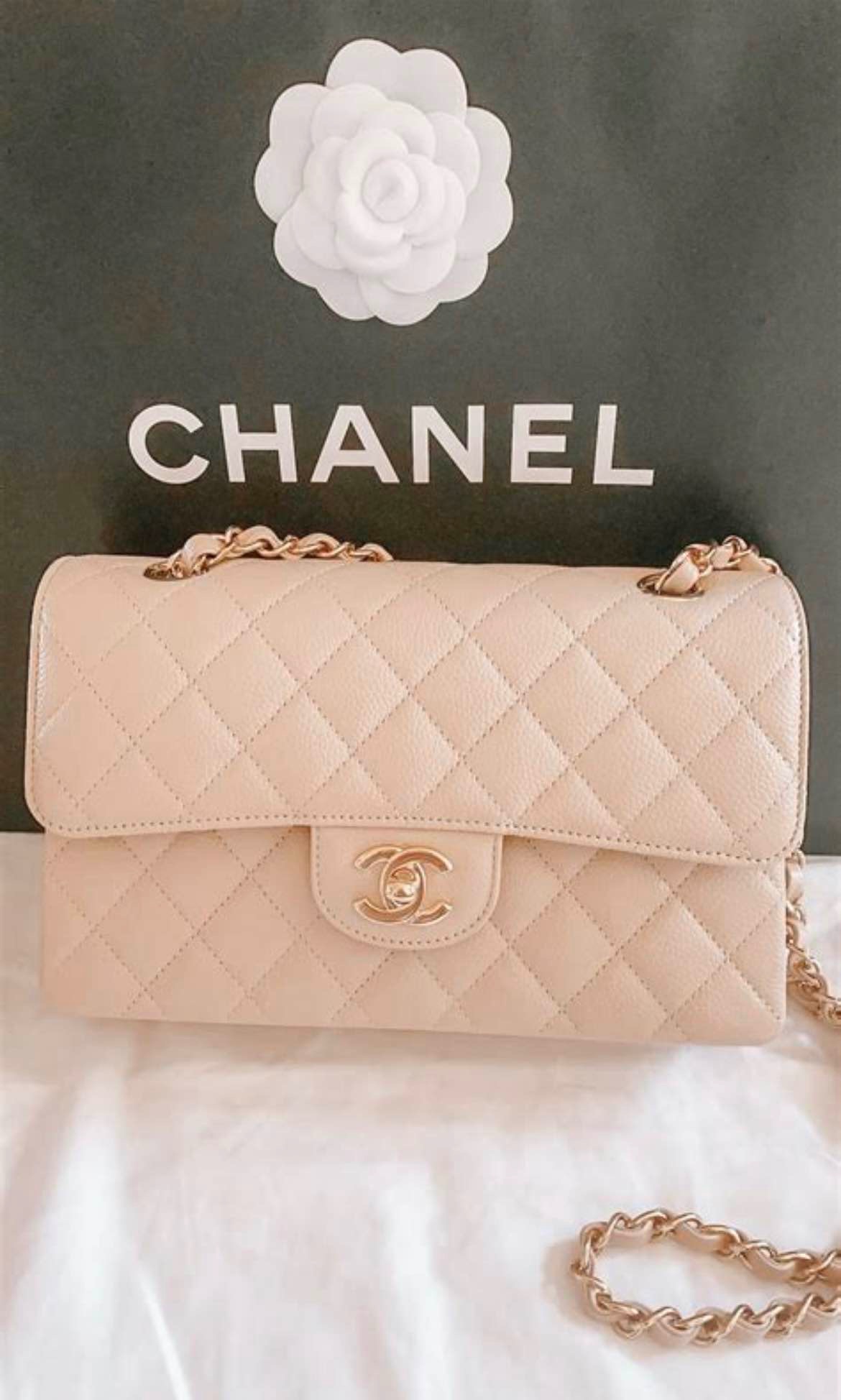 Chanel Classic Flap Bag Clair