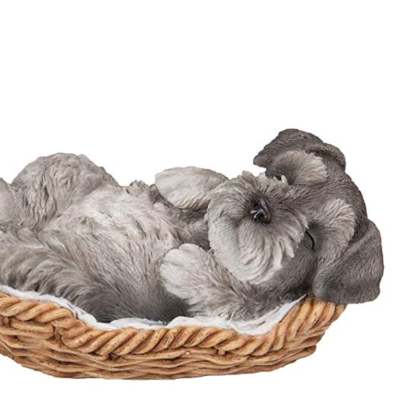 Amazon.com: Pacific Giftware Mini Schnauzer Puppy in Wicker Basket Pet Pals Collectible Dog Figurine 6.5 Inches L: Home & Kitchen