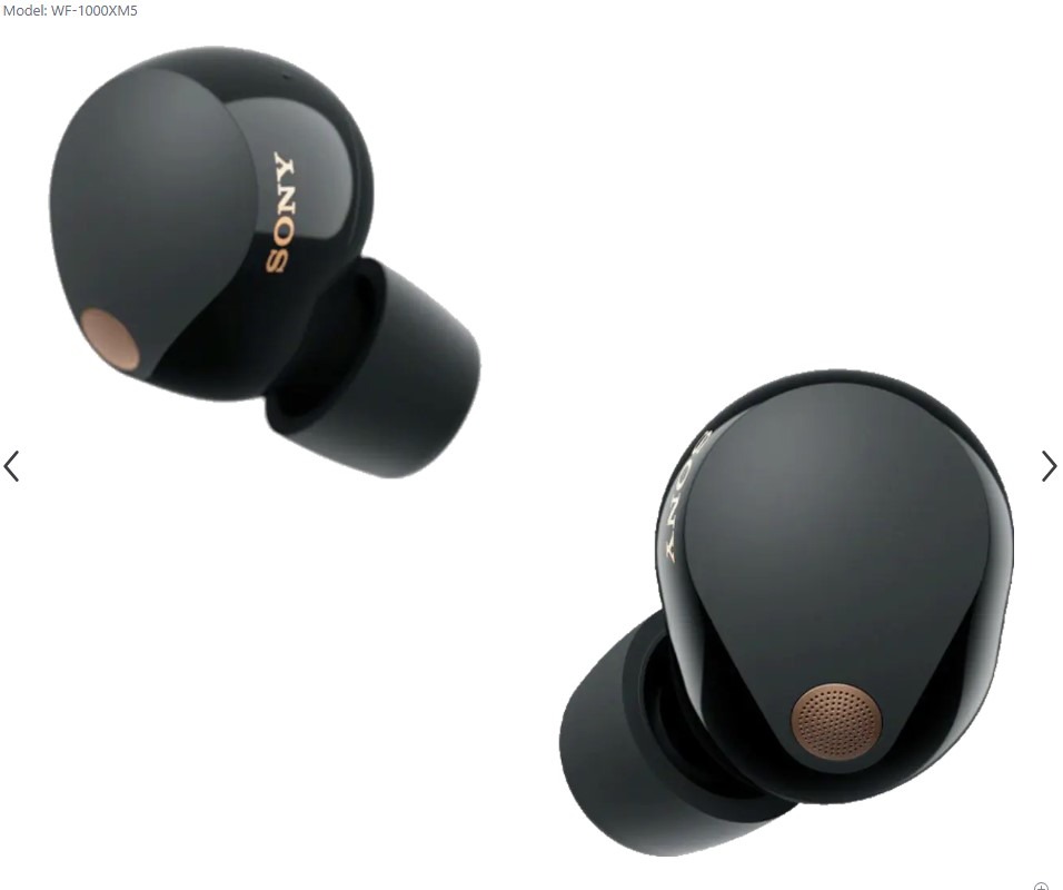 Contributions towards replacing Sony Earbuds - Left at hotel, not returned.