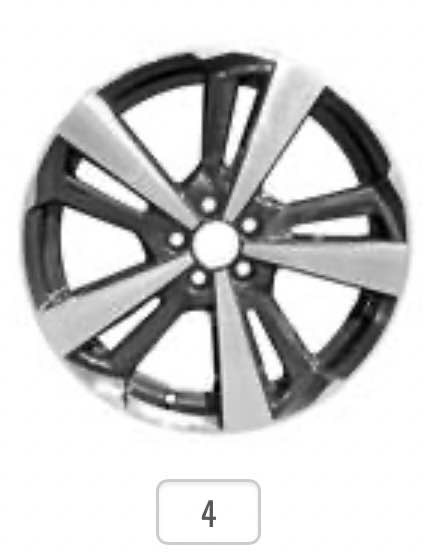 car shoes